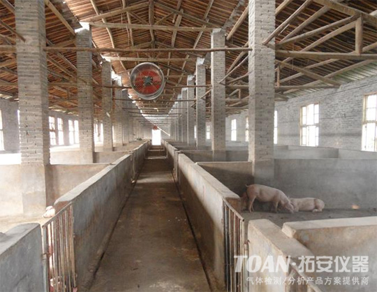 氨氣檢測儀，氨氣報警器在養(yǎng)殖場的應(yīng)用-湖南拓安儀器